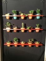 Load image into Gallery viewer, 15 Pot Plant Shelf &quot;Shwing&quot;
