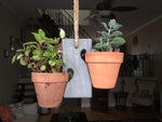 Load image into Gallery viewer, 2 Pot Mini Swing in Weathered Gray
