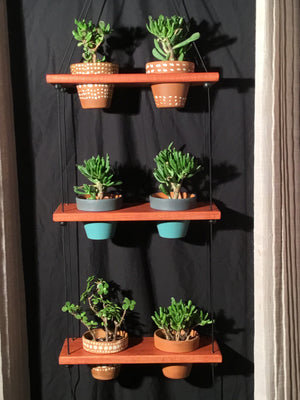 "Shwings" Hanging Plant Shelves