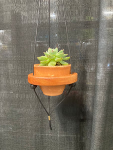 1 Pot "Shwing"