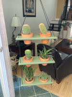 Load image into Gallery viewer, 6 Pot Plant Shelf &quot;Shwing&quot;

