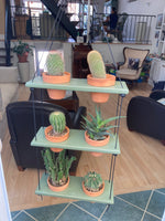Load image into Gallery viewer, 6 Pot Plant Shelf &quot;Shwing&quot;
