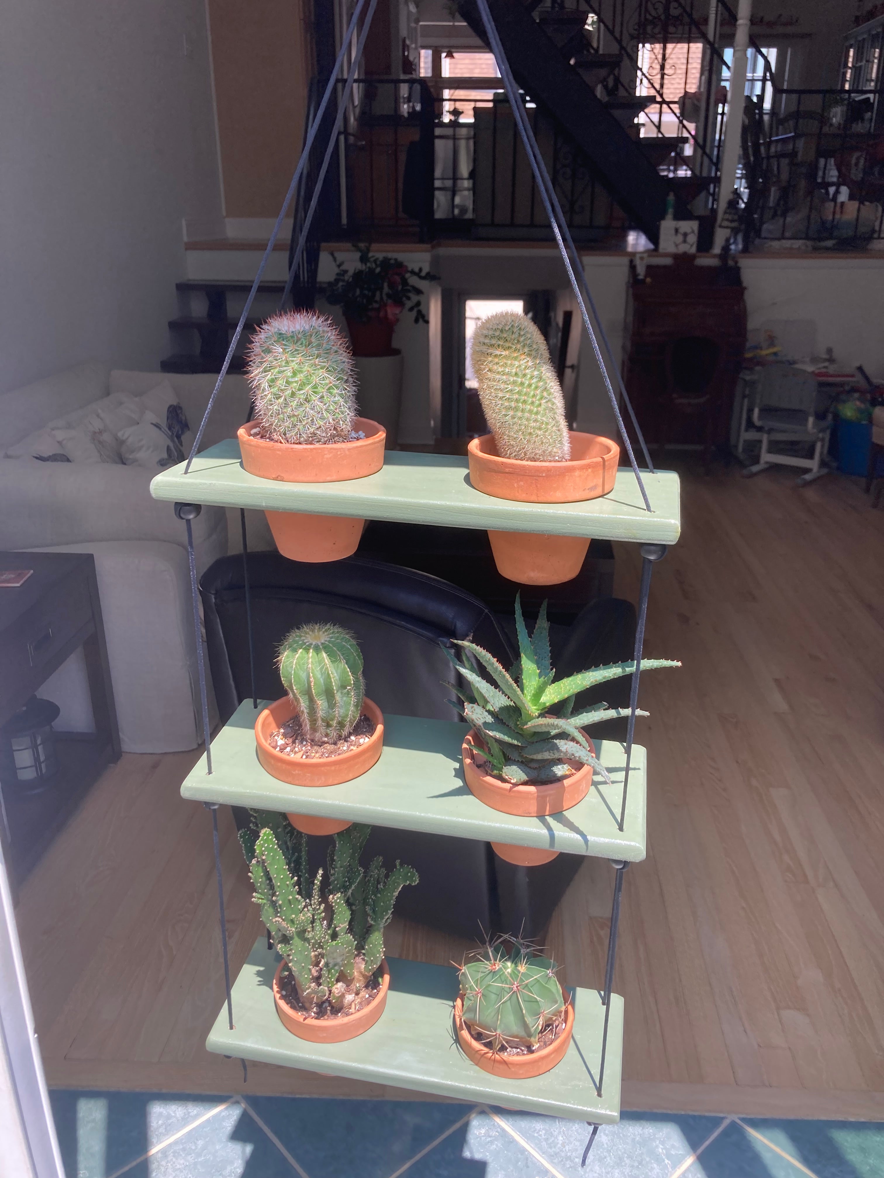 6 Pot Plant Shelf "Shwing"