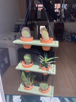 Load image into Gallery viewer, 6 Pot Plant Shelf &quot;Shwing&quot;

