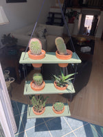 Load image into Gallery viewer, 6 Pot Plant Shelf &quot;Shwing&quot;
