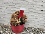 Load image into Gallery viewer, Polywood Christmas &amp; Holiday Decor
