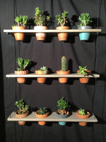 Load image into Gallery viewer, 12 Pot Plant Shelf &quot;Shwing&quot;
