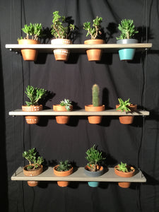 wall planter shelf indoor 12 Pot Plant Shelf "Shwing" – Clay Pot Swings