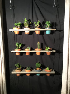 hanging plant shelf 12 Pot Plant Shelf "Shwing" – Clay Pot Swings