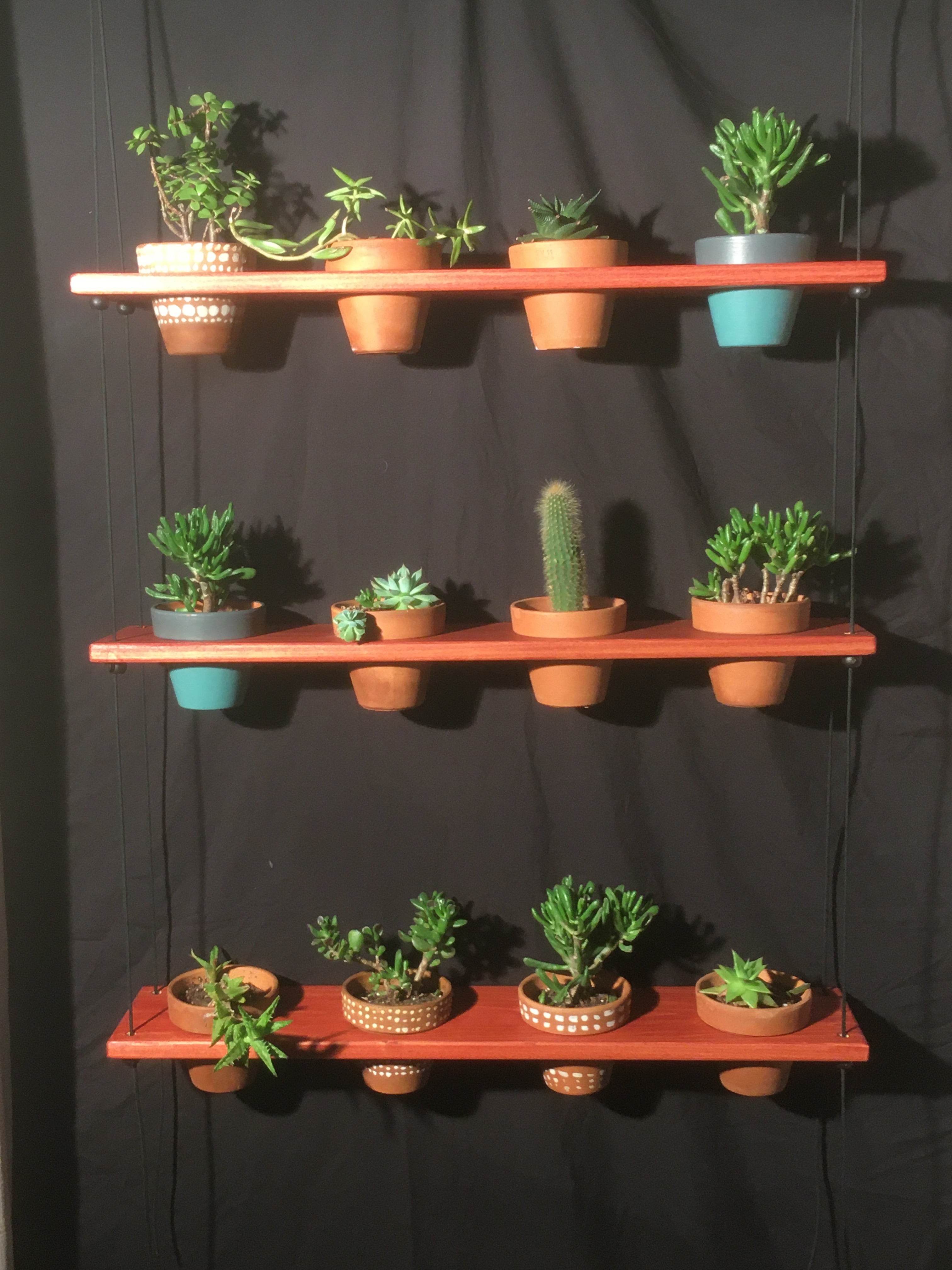 hanger pots for plants 12 Pot Plant Shelf "Shwing" – Clay Pot Swings