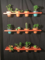 Load image into Gallery viewer, 12 Pot Plant Shelf &quot;Shwing&quot;
