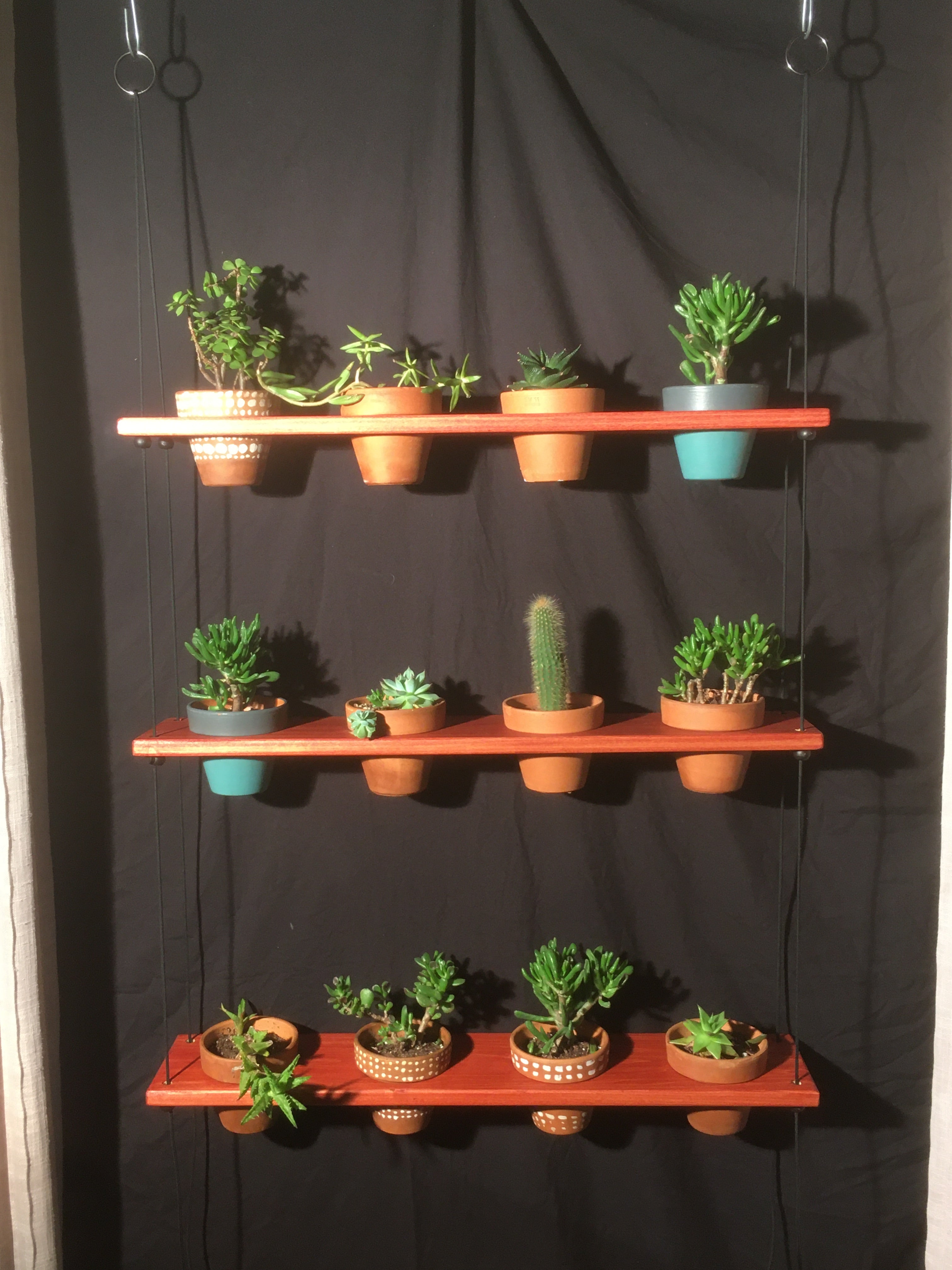 plant hanging shelf 12 Pot Plant Shelf "Shwing" – Clay Pot Swings