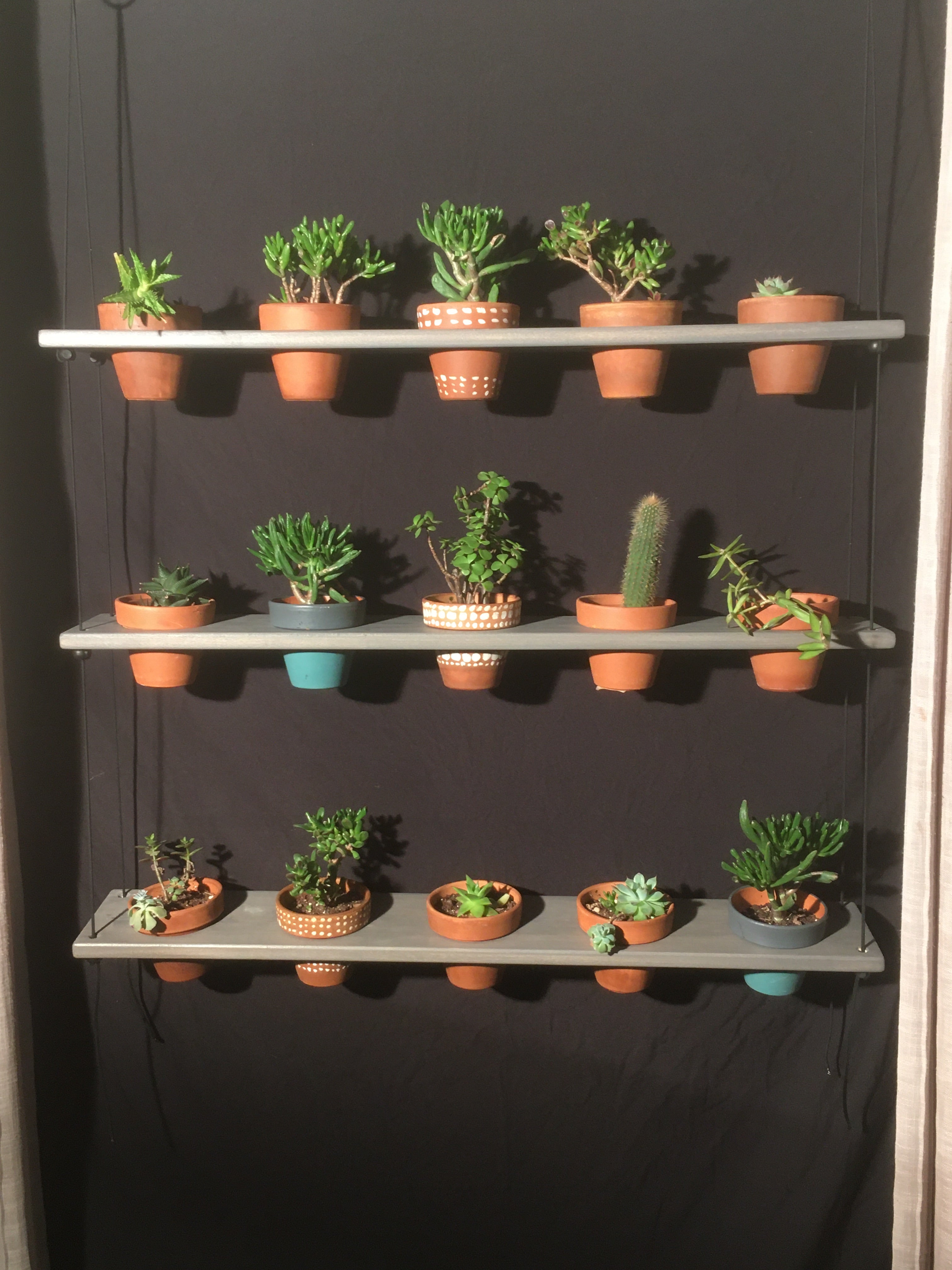 15 Pot Plant Shelf "Shwing"
