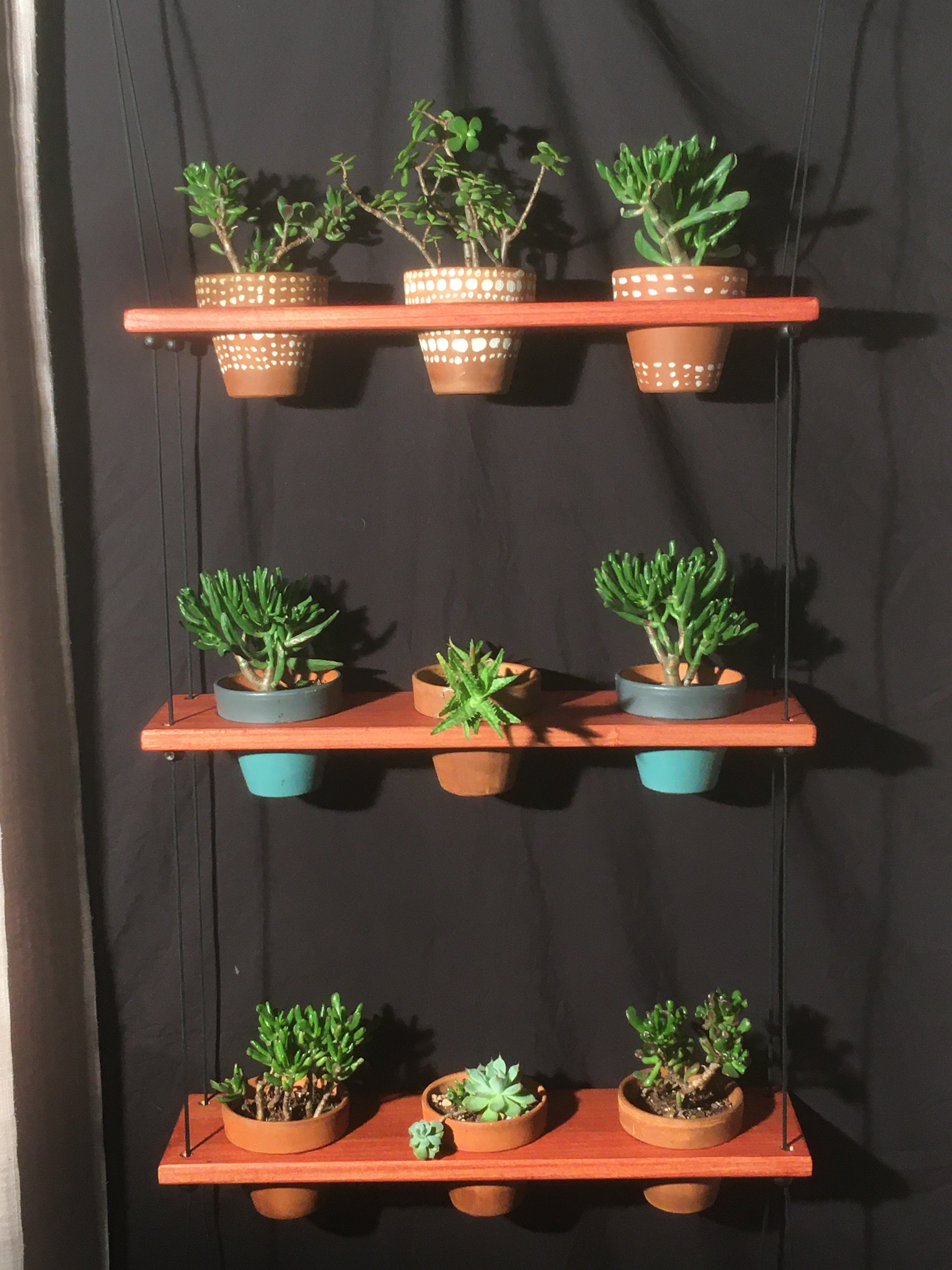 plant that hangs over shelf 9 Pot Plant Shelf "Shwing" – Clay Pot Swings