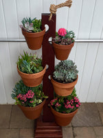 Load image into Gallery viewer, 6 Pot Mahogany Tower from Long Beach Ca. Beautifully displayed with succulents
