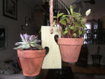 Load image into Gallery viewer, 2 Pot Mini Swing in Rustic Sage 
